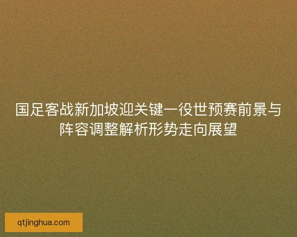 国足客战新加坡迎关键一役世预赛前景与阵容调整解析形势走向展望